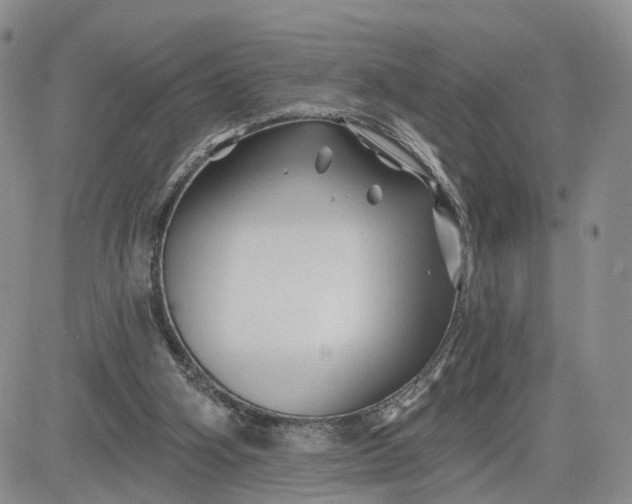 X0000081420106200701261604