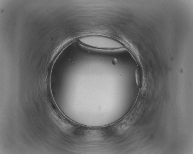 X0000081420107200701261604