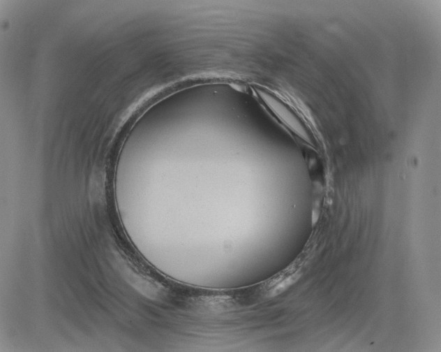 X0000081420108200701261604