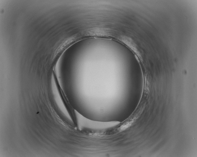 X0000081420109200701261604