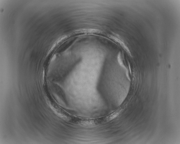 X0000081420110200701261604