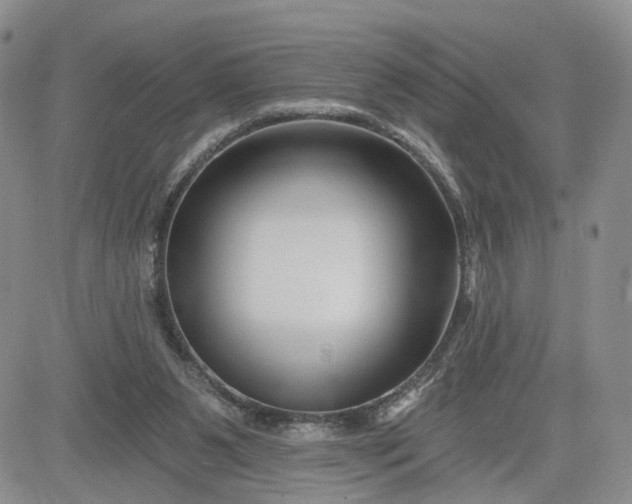 X0000081420111200701261604