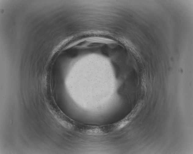 X0000081420112200701261604