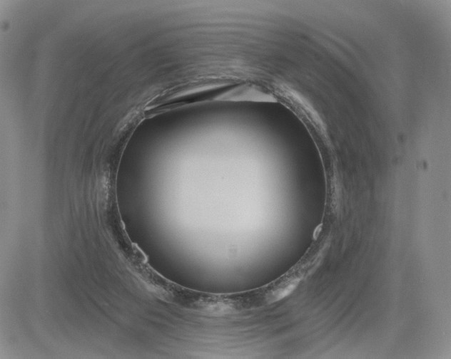 X0000081420113200701261604