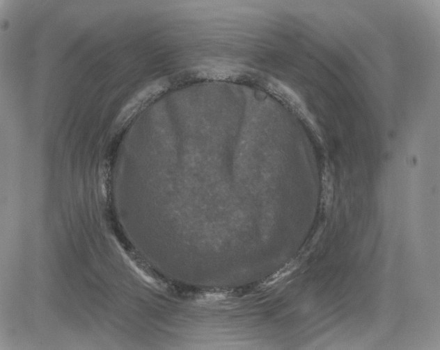 X0000081420114200701261604