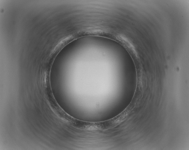 X0000081420115200701261604