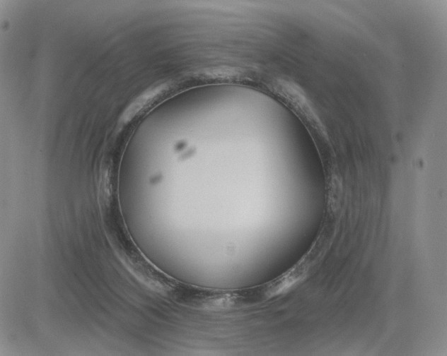 X0000081420116200701261604