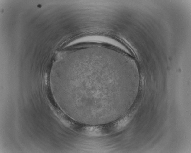 X0000081420117200701261603