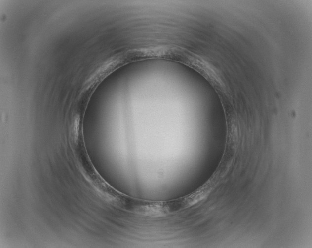 X0000081420118200701261603