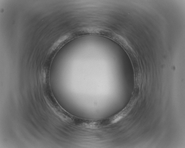 X0000081420120200701261603