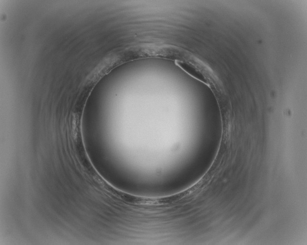 X0000081420121200701261603