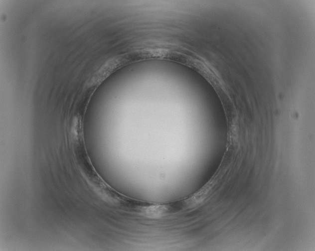 X0000081420122200701261603