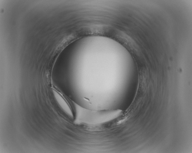 X0000081420123200701261603