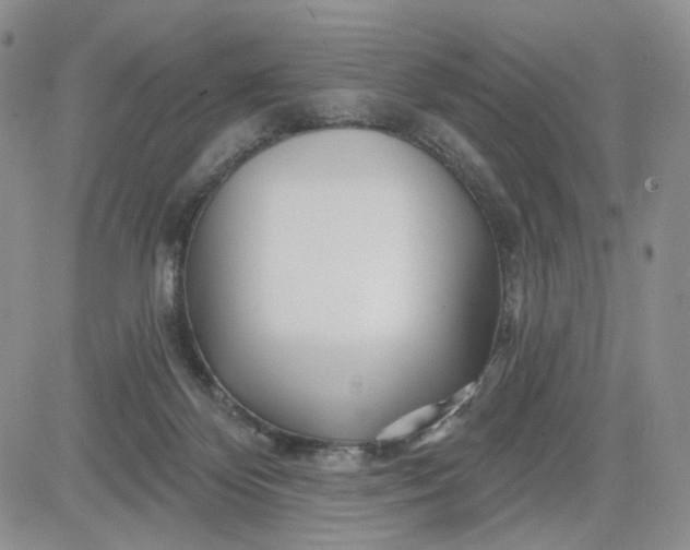 X0000081420124200701261603