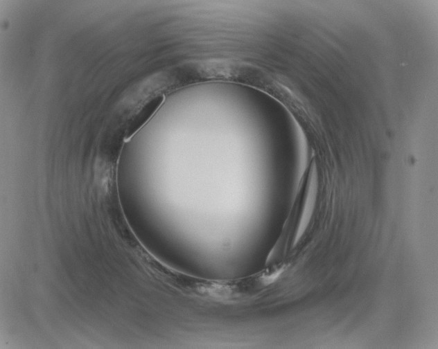 X0000081420125200701261603