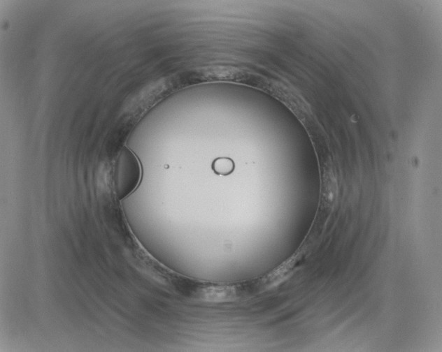 X0000081420126200701261603