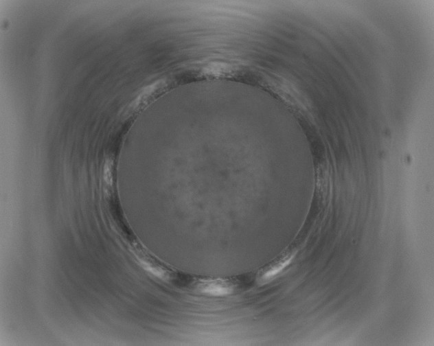 X0000081420127200701261603