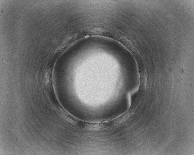 X0000081420131200701261603