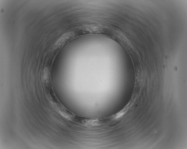 X0000081420132200701261603