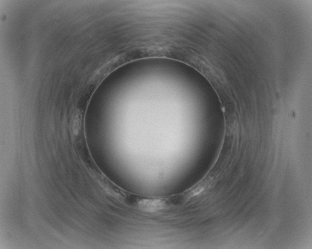 X0000081420133200701261603