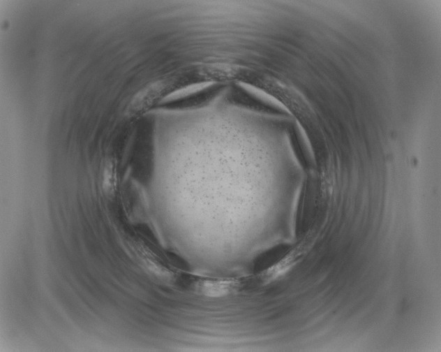 X0000081420134200701261603