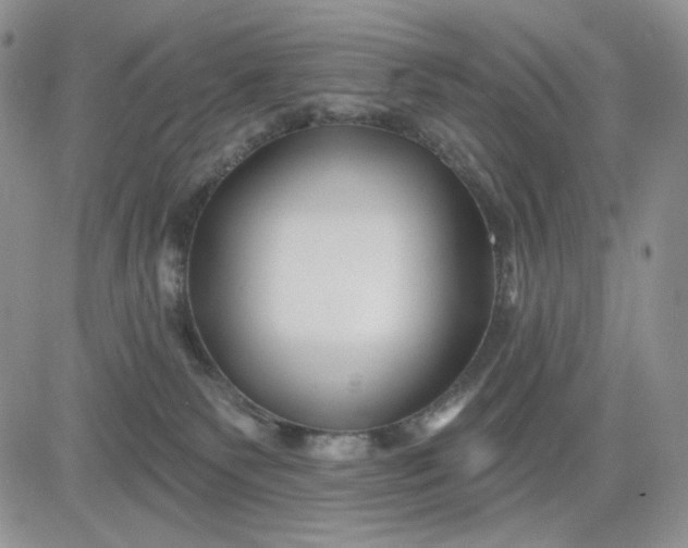 X0000081420135200701261603