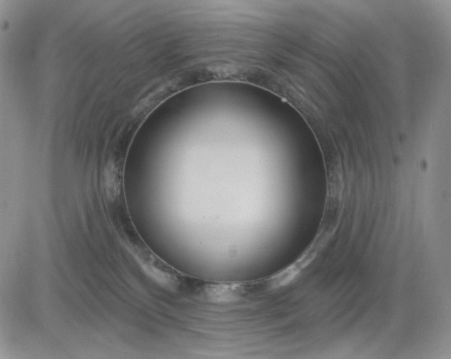 X0000081420136200701261603