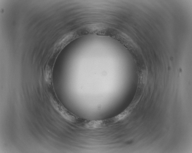 X0000081420138200701261603