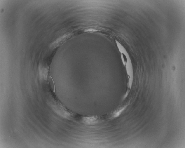 X0000081420139200701261603