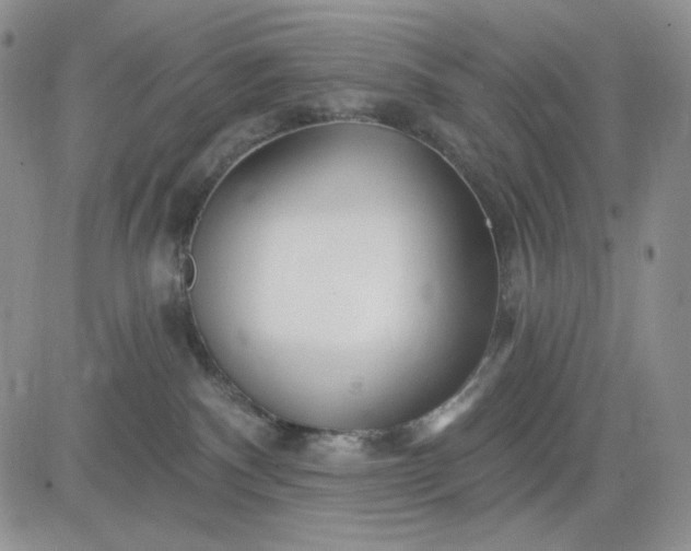 X0000081420140200701261603