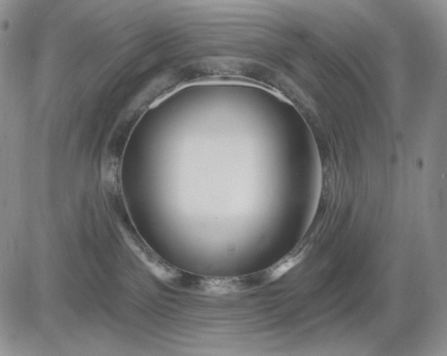 X0000081420141200701261603