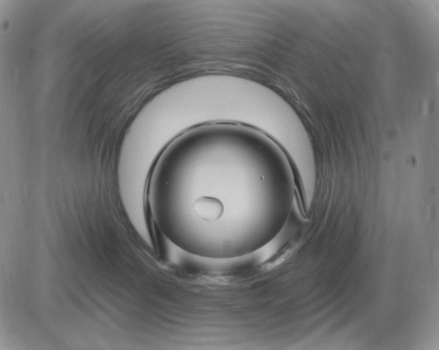 X0000081420143200701261603