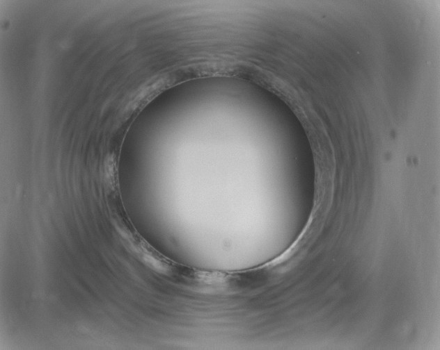 X0000081420144200701261603