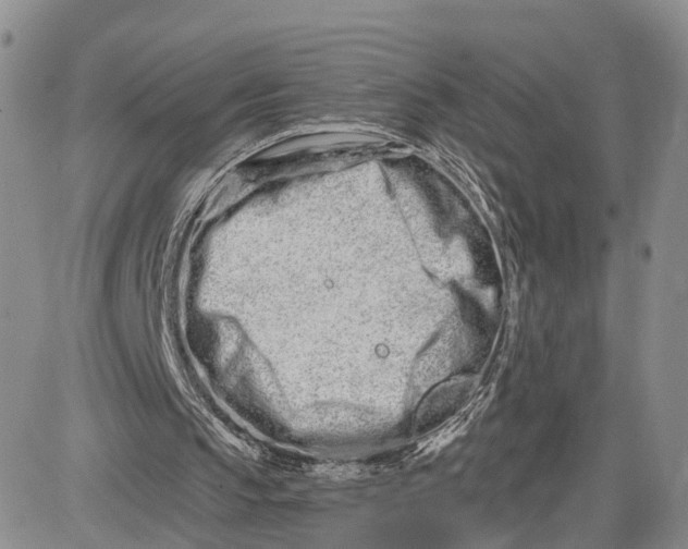 X0000081420145200701261602