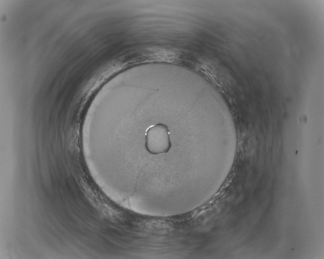 X0000081420146200701261602