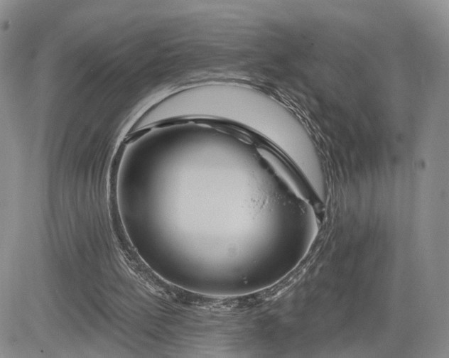 X0000081420148200701261602