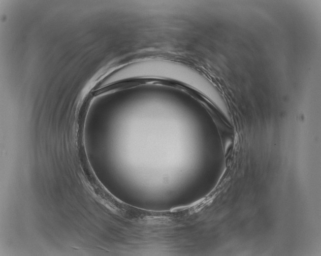 X0000081420150200701261602