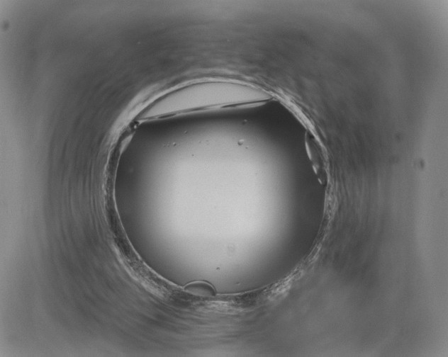 X0000081420151200701261602