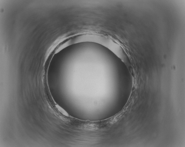 X0000081420152200701261602