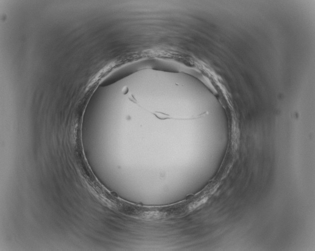 X0000081420153200701261602