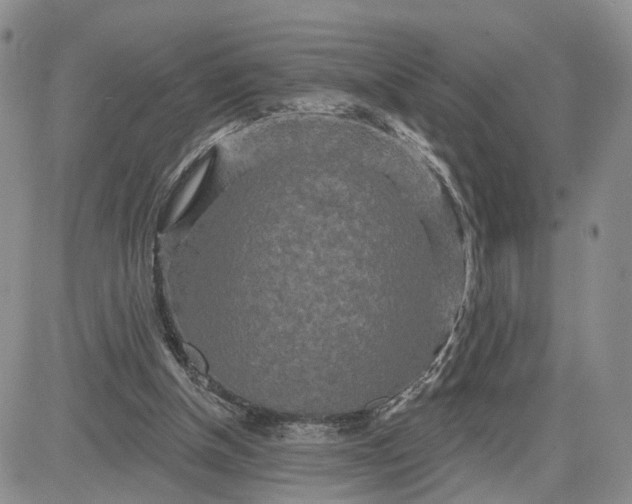 X0000081420154200701261602