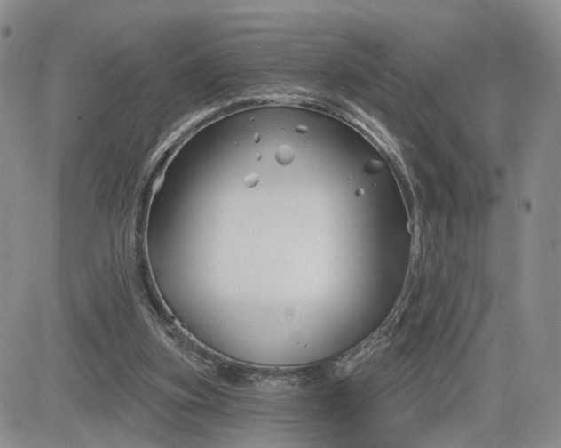 X0000081420155200701261602