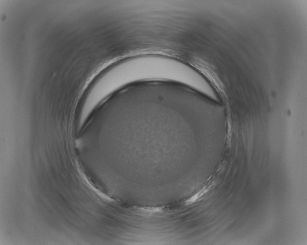 X0000081420156200701261602