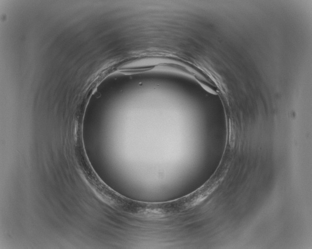 X0000081420157200701261602