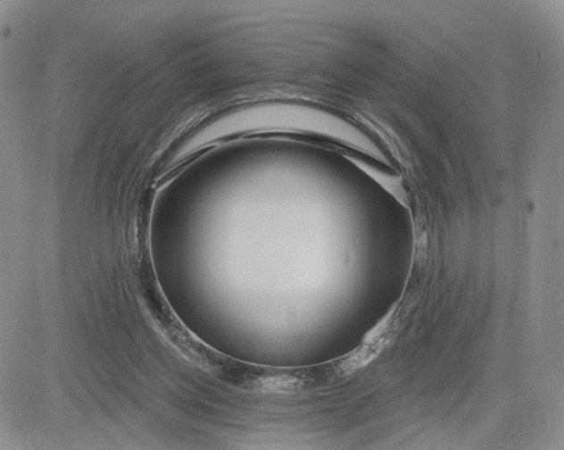 X0000081420158200701261602