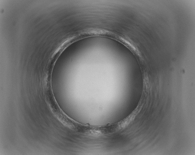 X0000081420159200701261602