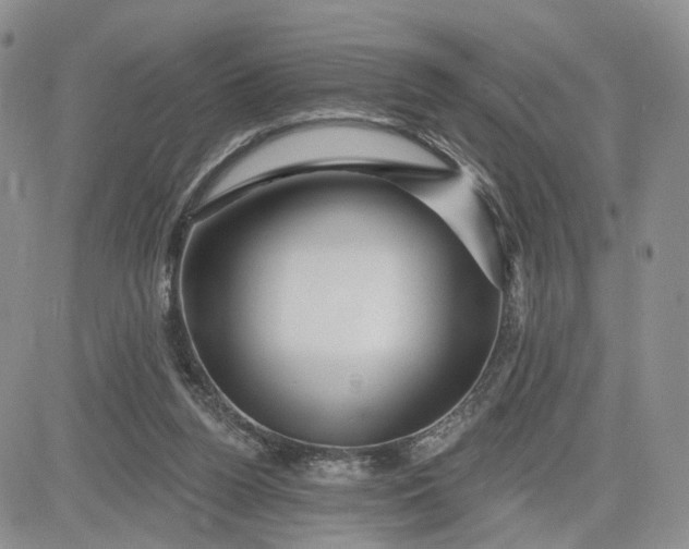 X0000081420160200701261603