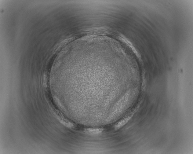 X0000081420161200701261603