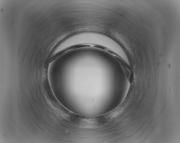 X0000081420164200701261603