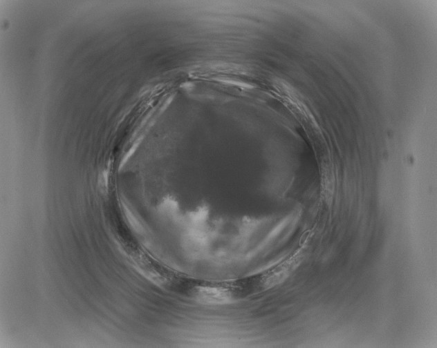 X0000081420167200701261603